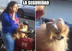 Enlace a Está a salvo 100%
