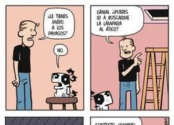 Enlace a Hay que darle contexto a la situación