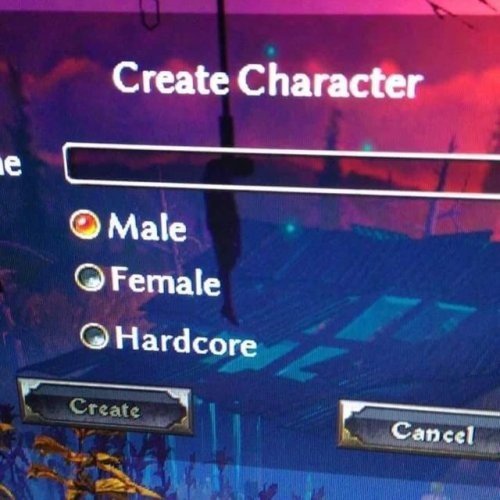 female,hardcore,male,niveles