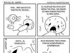 Enlace a Los dramas que se viven con tanto calor