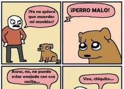 Enlace a Los planes malvados de un perrito