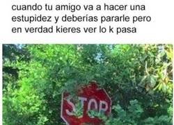 Enlace a No lo hagas pero bueno, déjame disfrutar