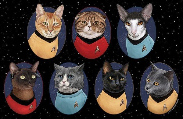 Meme_otros - Star Trek Cats, ¡Miau! El maullido de la justicia