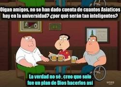 Enlace a Y así fueron creados los asiáticos