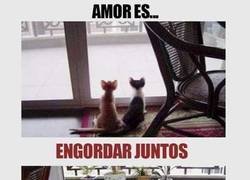 Enlace a Un amor verdadero