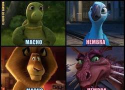 Enlace a ¿Esa vaca qué es?