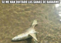 Enlace a Algo muy raro está pasando ahí dentro