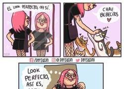 Enlace a Lo malo de tener gatos antes de irse de fiesta