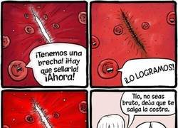 Enlace a Todos somos iguales con las heridas