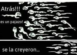 Enlace a Y así ganó la carrera