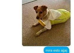 Enlace a Creo que este tipo anda obsesionado