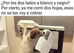 Enlace a El perro encargado de la impresora