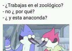 Enlace a Una profesión mía que no conocías