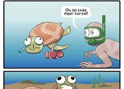 Enlace a Juzgando a las tortugas antes de saber la verdad