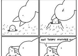 Enlace a Las apariencias engañan