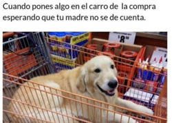 Enlace a Para nada se dará cuenta