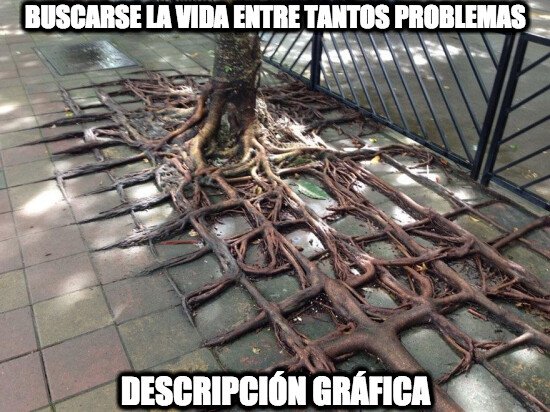 Meme_otros - Debo tomar ejemplo de este árbol