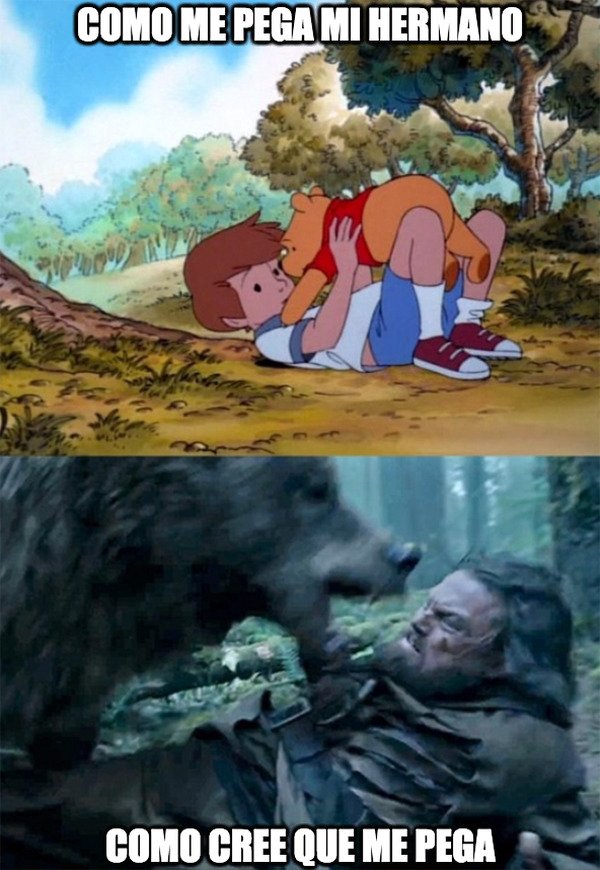 Bear_leo - Pelea de hermanos