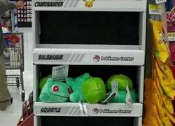Enlace a Pobre Bulbasaur...