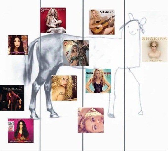 Meme_otros - Resumen de la carrera de Shakira