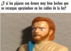 Enlace a La tecnología en los pájaros