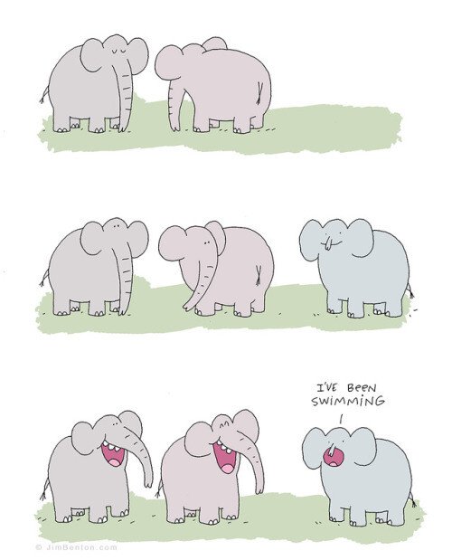 Otros - Gracietas entre elefantes