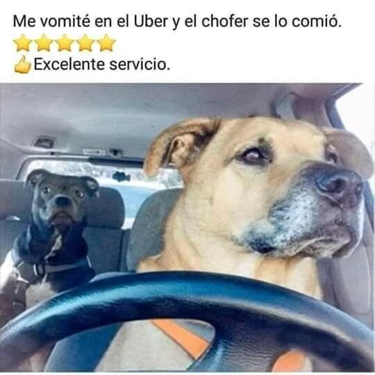 conductor,uber,vomito