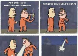 Enlace a El plan de tomar drogas