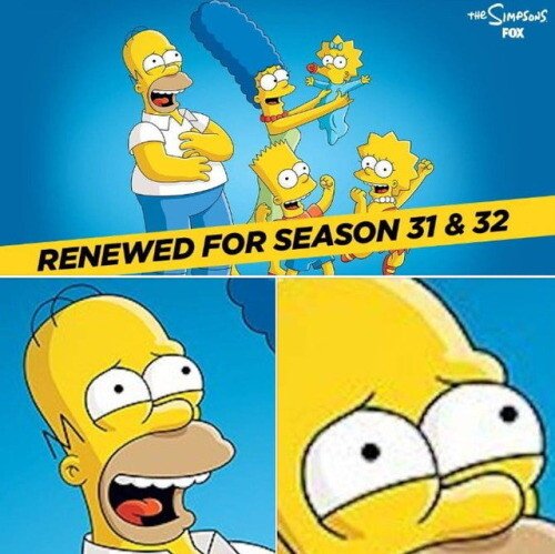Meme_otros - Creo que Homer no está muy feliz con la renovación