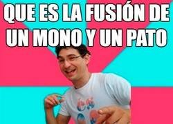 Enlace a Una Fusión que no Conocías