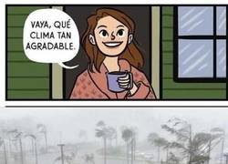 Enlace a Un día perfecto para salir a dar un paseo