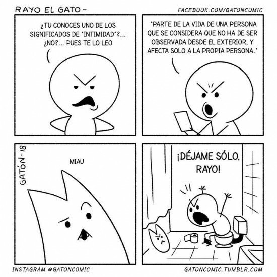 Otros - Los gatos y el espacio personal no son amigos