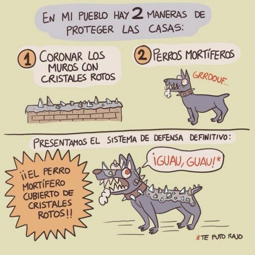 Otros - El sistema de seguridad infalible