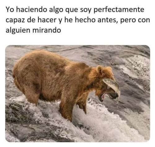 Meme_otros - Siempre termino quedando en ridículo