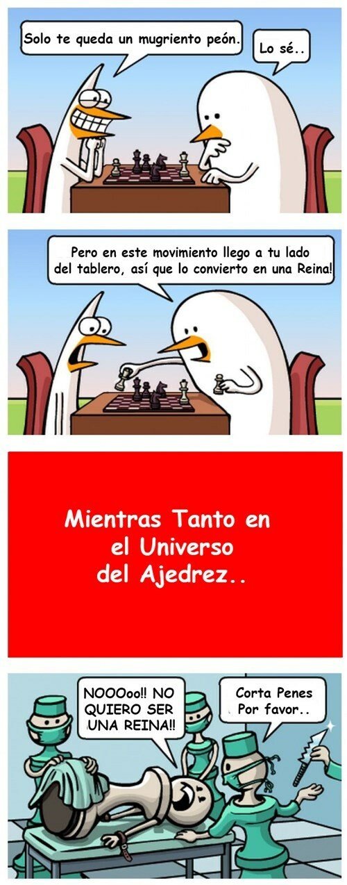 Otros - Las partidas de ajedrez son un auténtico drama viéndolo desde el otro lado