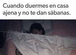 Enlace a Hay que buscarse la vida como sea