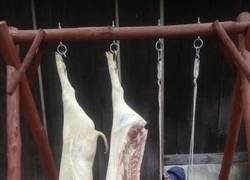 Enlace a Y si te portas mal un día terminarás como ella