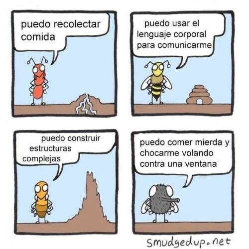 Otros - La función de cada animal