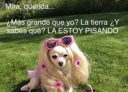 Enlace a Ella está por encima de todo el mundo