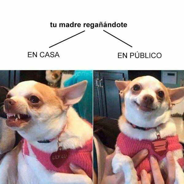 Meme_otros - Las dos caras de una madre