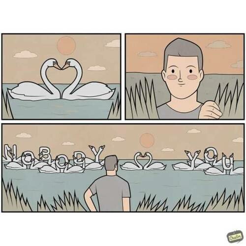 Otros - Cuando los cisnes te mandan un mensaje