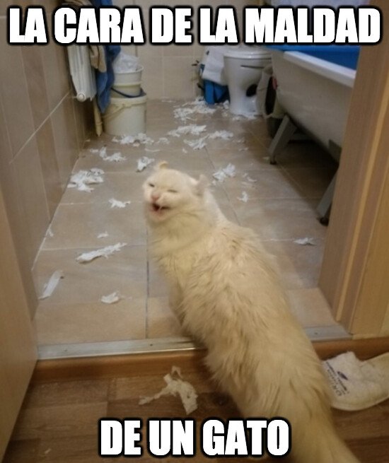 Meme_otros - Disfruta como nadie