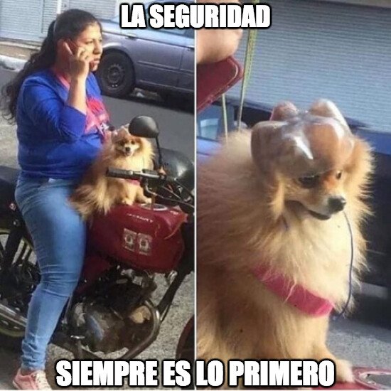 Meme_otros - No hay que arriesgar en la vida