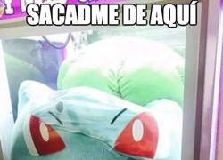 Enlace a Bulbasaur no puede más