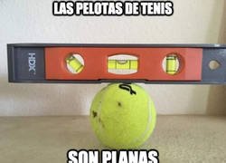 Enlace a He vivido toda la vida engañado