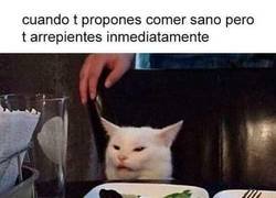 Enlace a Nada como la comida normal y grasienta