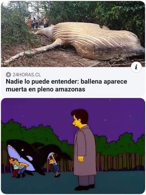 Meme_otros - Los Simpson tienen respuesta para todos