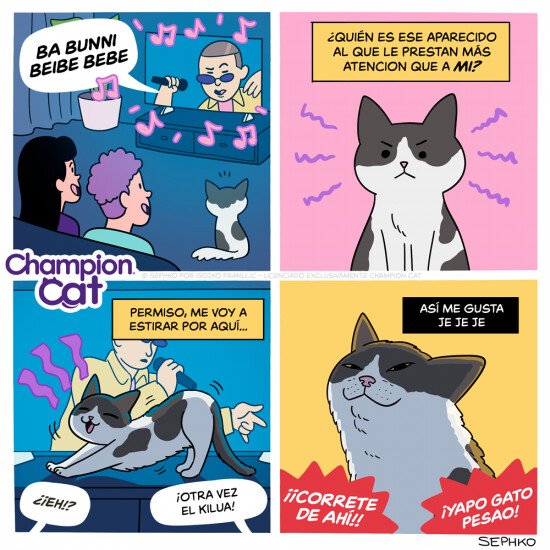 Otros - Un gato siempre sabe ser el centro de atención