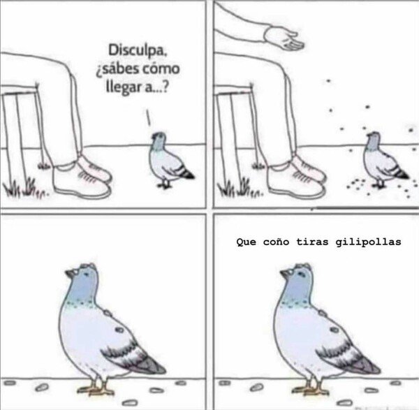 Otros - No entendemos a las palomas :(