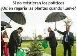 Enlace a Los salvadores de los políticos
